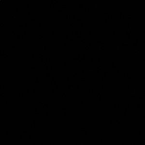 Meet your Posher, Shirley